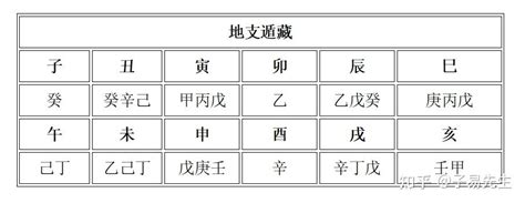 巳藏支|地支